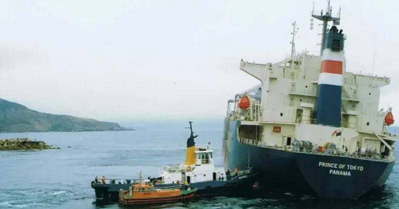 PRINCE OF TOKYO Bulk Carrier IMO 9167497 photo 2