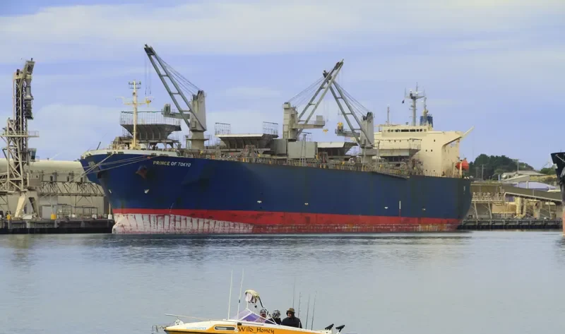 PRINCE OF TOKYO Bulk Carrier IMO 9167497 photo 3