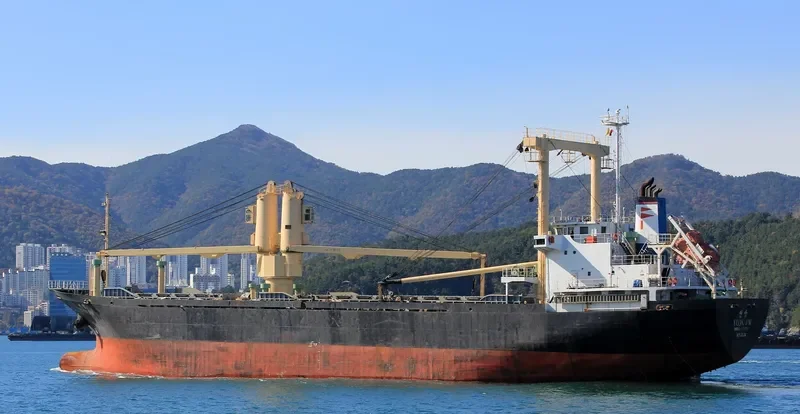 LEO General Cargo IMO 9167679 photo 9