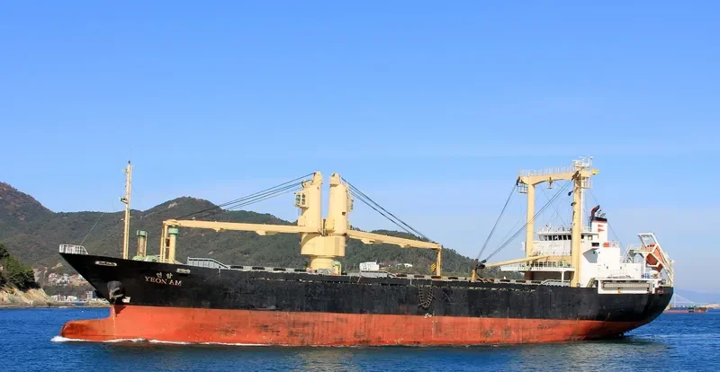LEO General Cargo IMO 9167679 photo 10