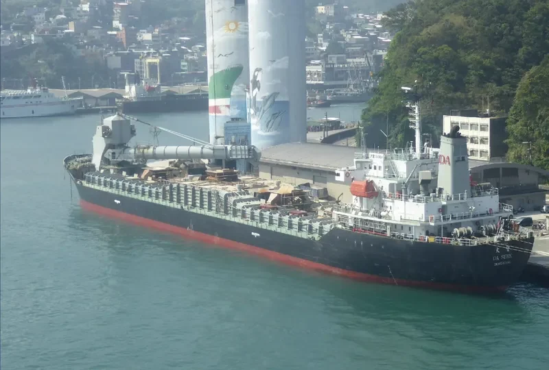DA SHEN Bulk Carrier IMO 9167681