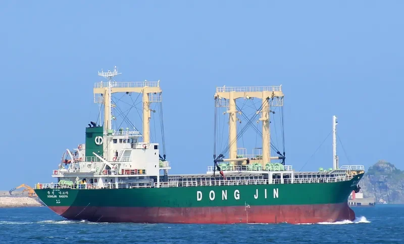 DONGJIN NAGOYA General Cargo IMO 9167708 photo 10