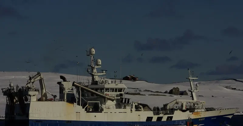 VIKING General Cargo IMO 9167916 photo 2