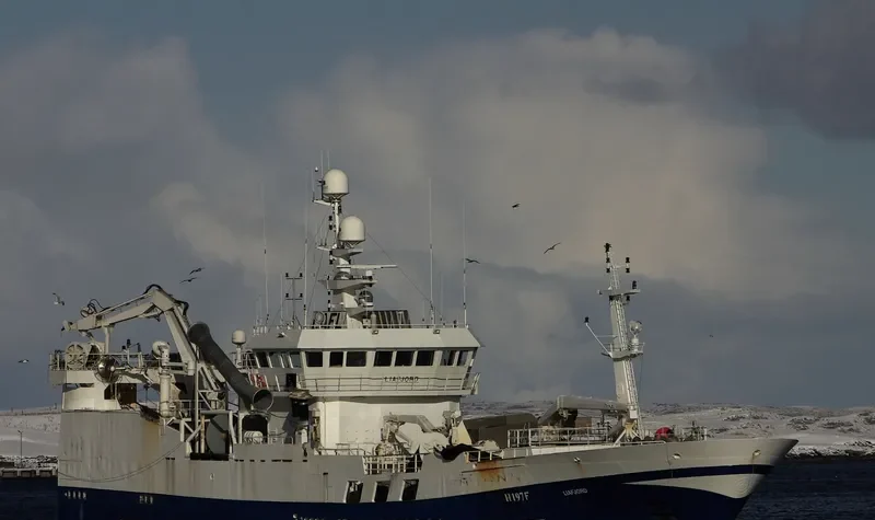 VIKING General Cargo IMO 9167916 photo 4