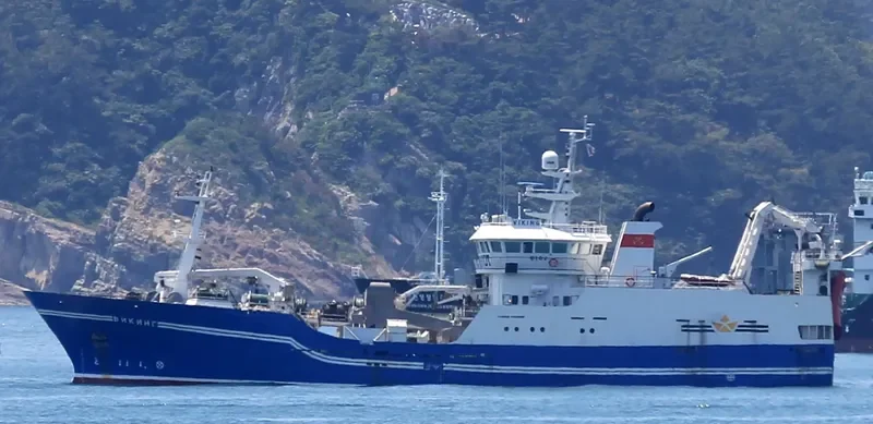 VIKING General Cargo IMO 9167916 photo 10