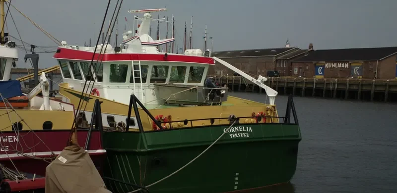 YE157 CORNELIA General Cargo IMO 9168001 photo 9