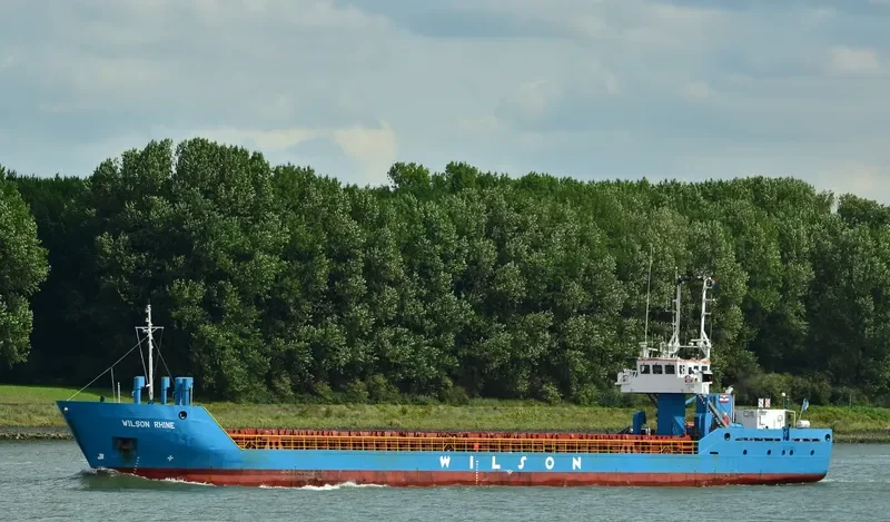 WILSON RHINE General Cargo IMO 9168116 photo 7