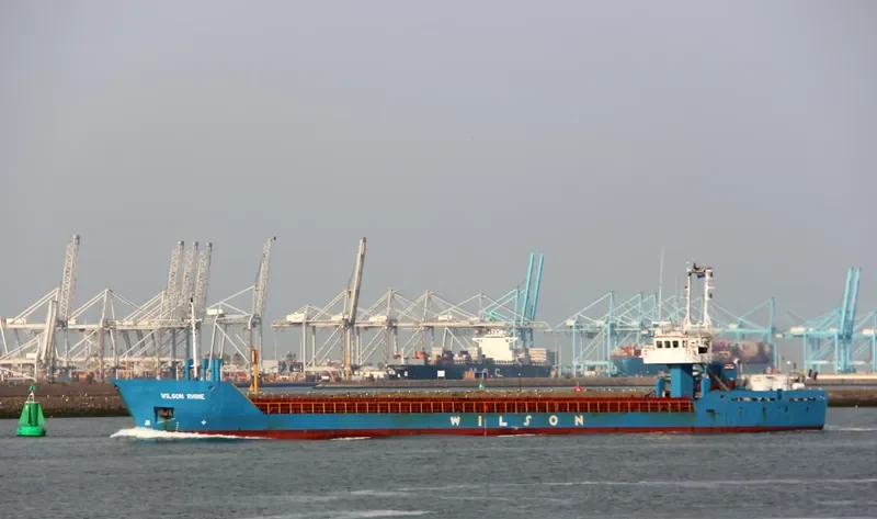WILSON RHINE General Cargo IMO 9168116 photo 8