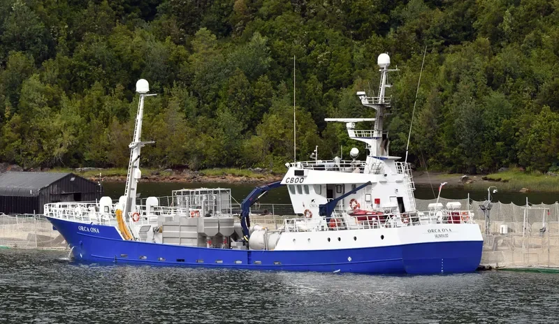 ORCA ONA General Cargo IMO 9168178 photo 6