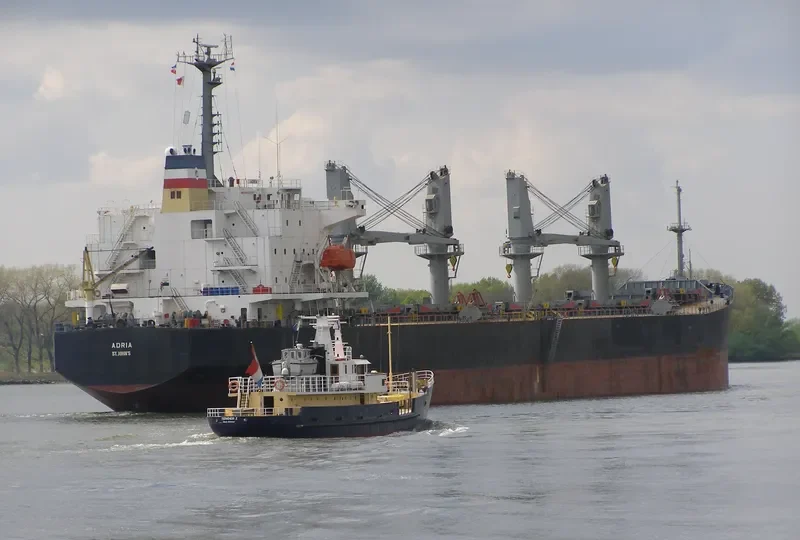 VIET THUAN STAR Bulk Carrier IMO 9168269 photo 6