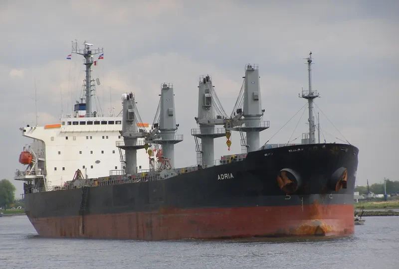 VIET THUAN STAR Bulk Carrier IMO 9168269 photo 7