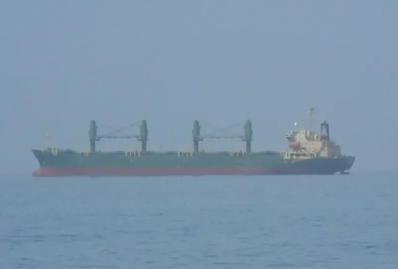 H WHALESHARK General Cargo IMO 9168348 photo 3