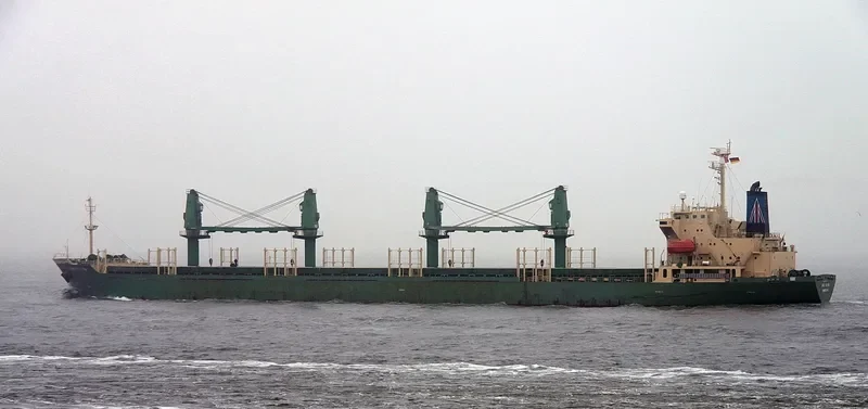 H WHALESHARK General Cargo IMO 9168348 photo 4