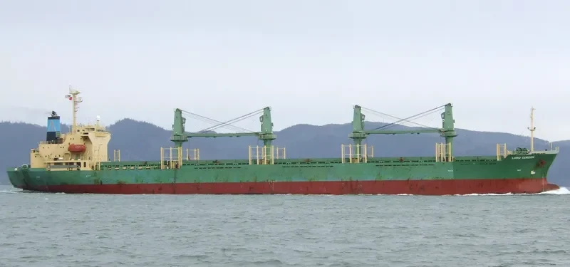 H WHALESHARK General Cargo IMO 9168348 photo 6