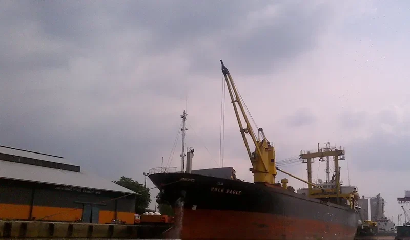 GOLD EAGLE General Cargo IMO 9168398 photo 3
