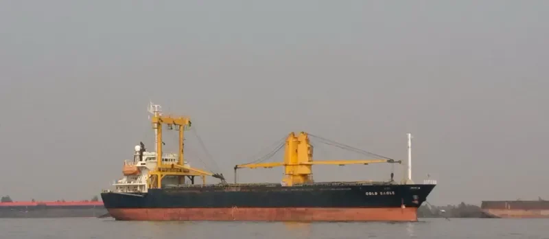 GOLD EAGLE General Cargo IMO 9168398 photo 4