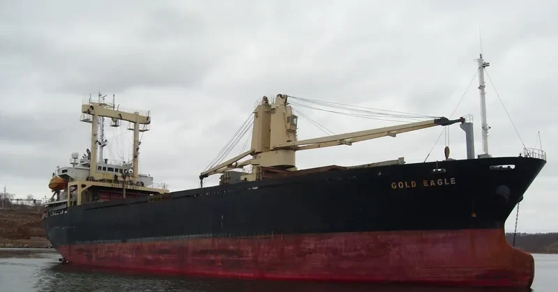 GOLD EAGLE General Cargo IMO 9168398 photo 5