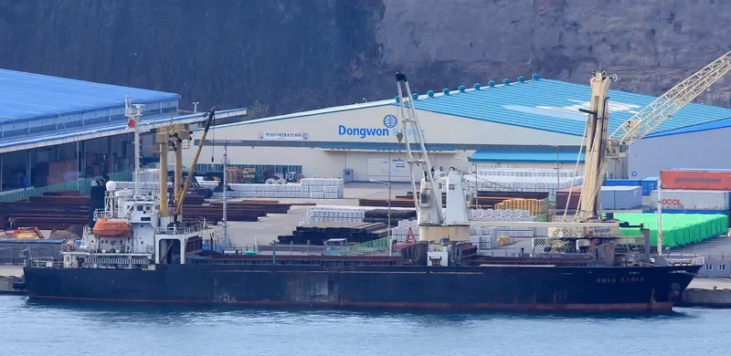 GOLD EAGLE General Cargo IMO 9168398 photo 7