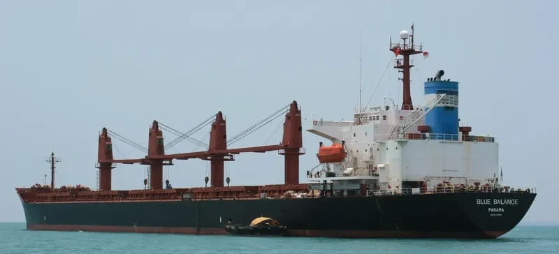 SEACON NINGBO Bulk Carrier IMO 9168491 photo 2