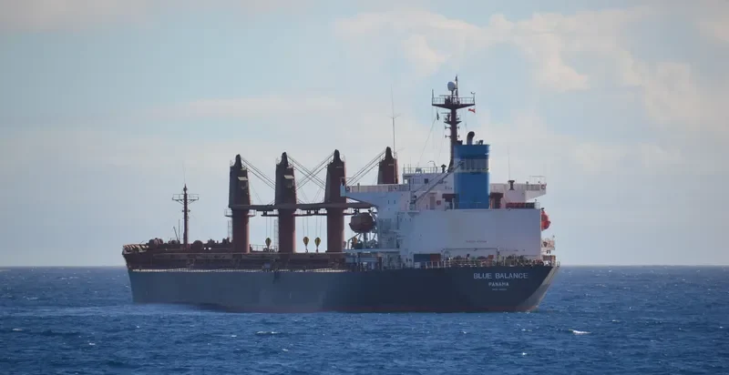 SEACON NINGBO Bulk Carrier IMO 9168491 photo 7