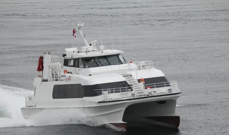 RYPOY Passenger Ship IMO 9168661 photo 3