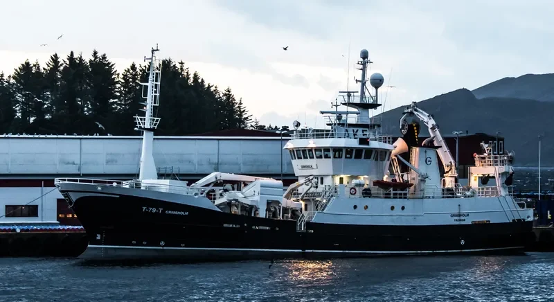 GRIMSHOLM General Cargo IMO 9168673