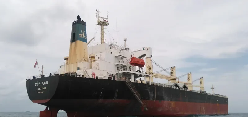 COS FAIR Bulk Carrier IMO 9168881