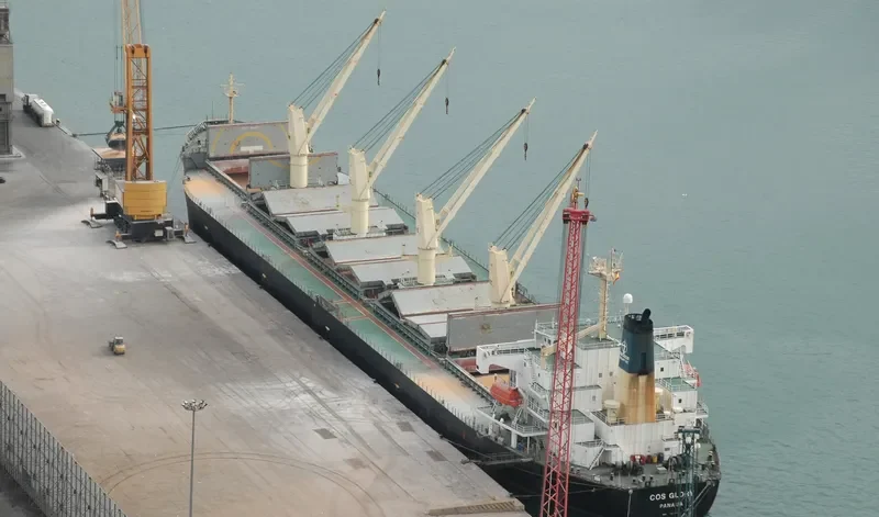 COS GLORY Bulk Carrier IMO 9168893 photo 5