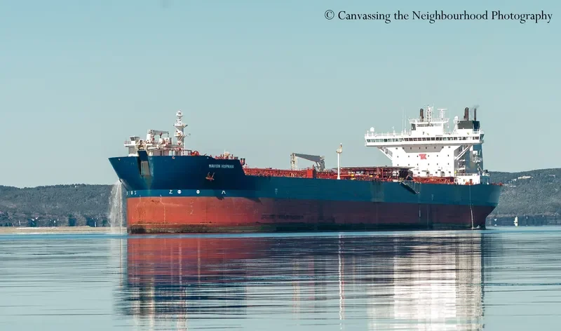 NAVION HISPANIA Tanker IMO 9168922 photo 6