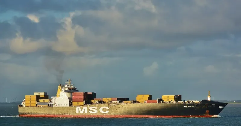 MSC EDITH Container Ship IMO 9169029