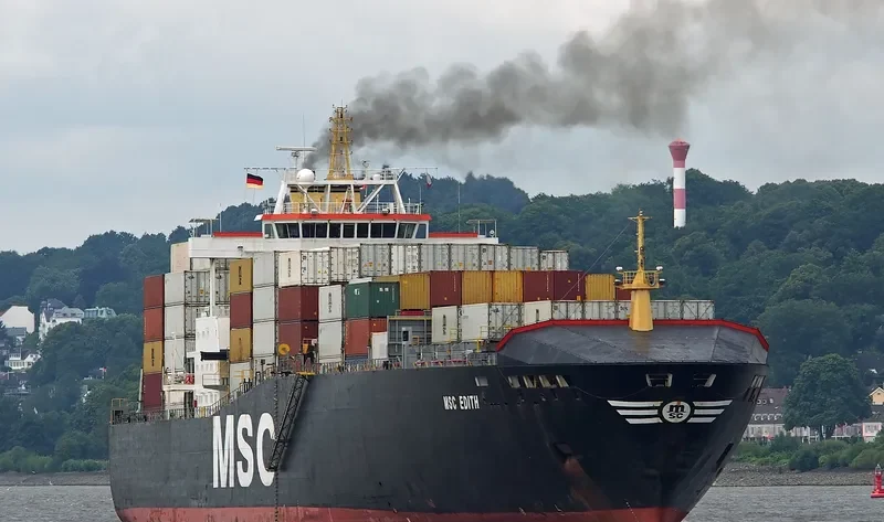 MSC EDITH Container Ship IMO 9169029 photo 6