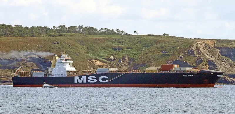 MSC EDITH Container Ship IMO 9169029 photo 10