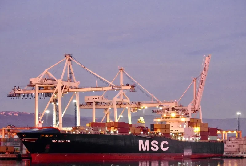 MSC MARYLENA Container Ship IMO 9169031