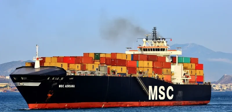 MSC ADRIANA Container Ship IMO 9169055 photo 7