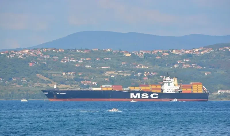 MSC ADRIANA Container Ship IMO 9169055 photo 10