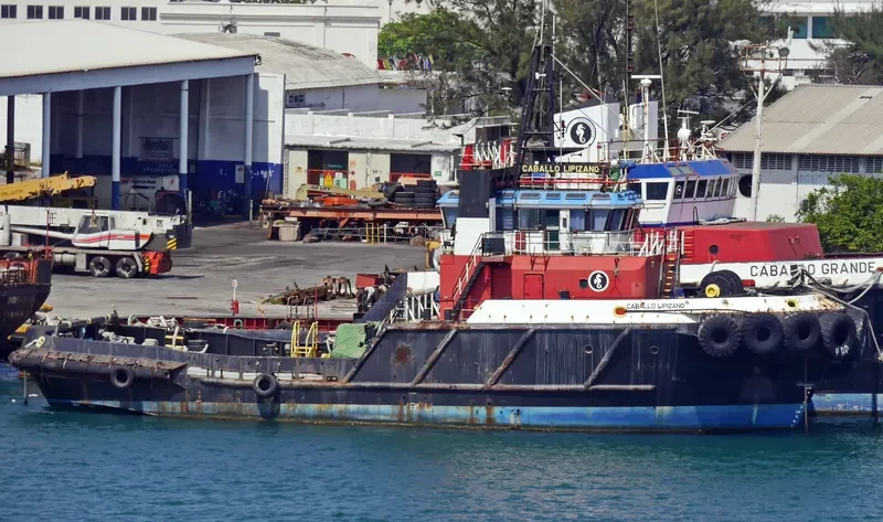 CABALLO LIPIZANO General Cargo IMO 9169079