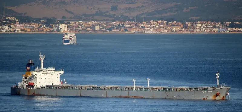DONG JIANG LI Bulk Carrier IMO 9169110