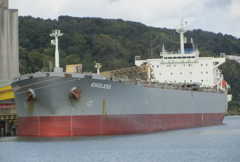 DONG JIANG LI Bulk Carrier IMO 9169110 photo 2
