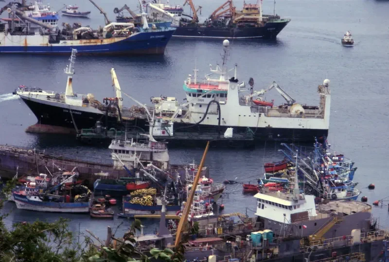 DON ALFONSO General Cargo IMO 9169251