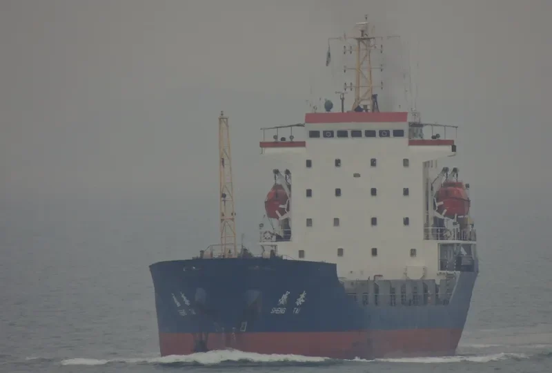 SHENG TAI General Cargo IMO 9169304 photo 2