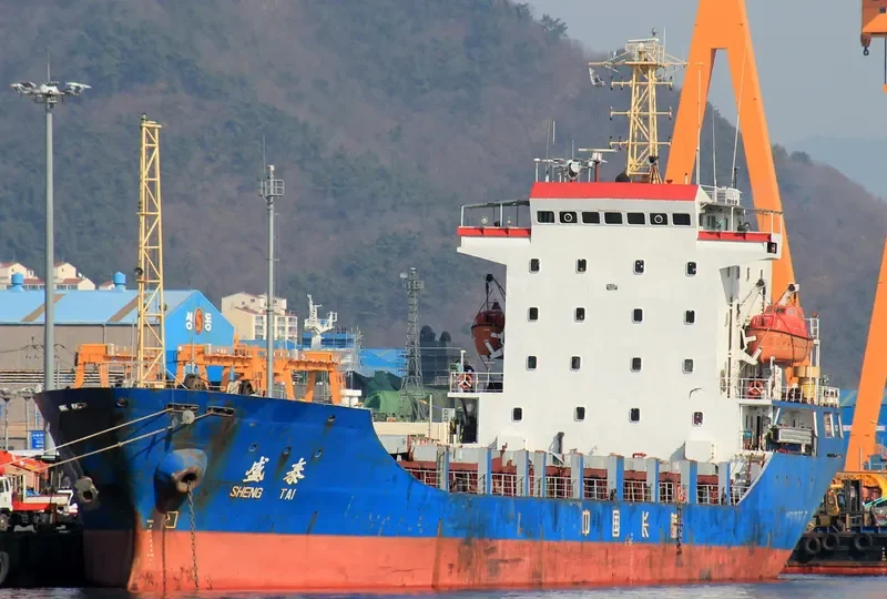 SHENG TAI General Cargo IMO 9169304 photo 4