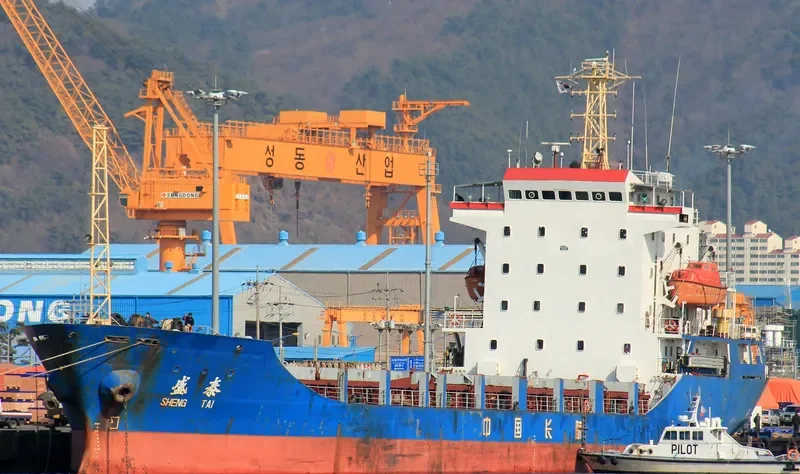 SHENG TAI General Cargo IMO 9169304 photo 7