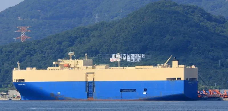 GRAND PACE General Cargo IMO 9169328 photo 8