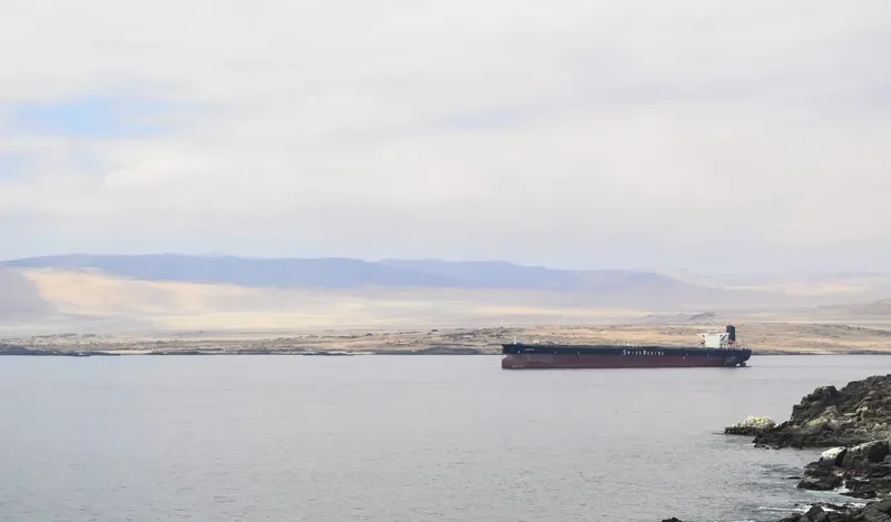 CORNAVIN Bulk Carrier IMO 9169378