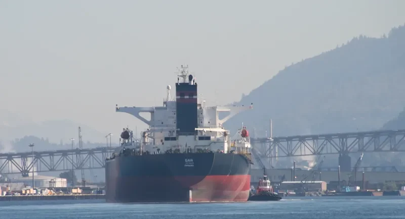 CORNAVIN Bulk Carrier IMO 9169378 photo 6