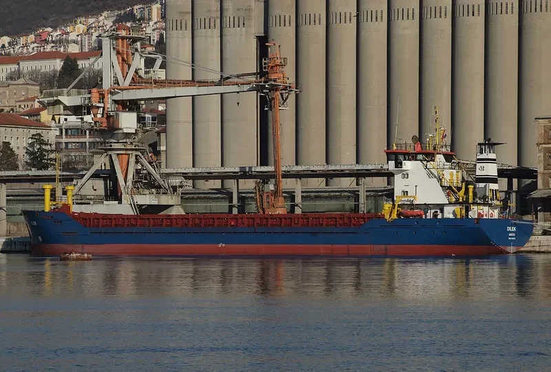 DILEK General Cargo IMO 9169732
