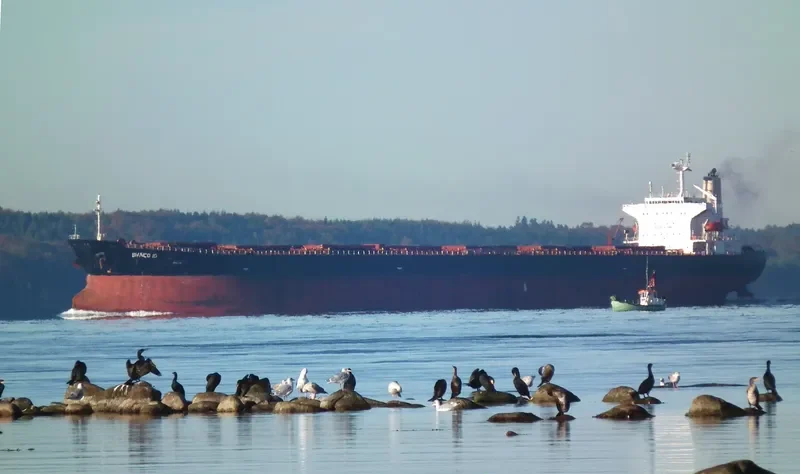 HUI HONG II Bulk Carrier IMO 9170286 photo 7