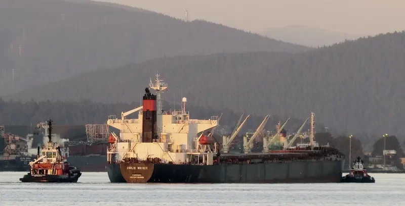 CAPTAIN STEFANOS M Bulk Carrier IMO 9170298