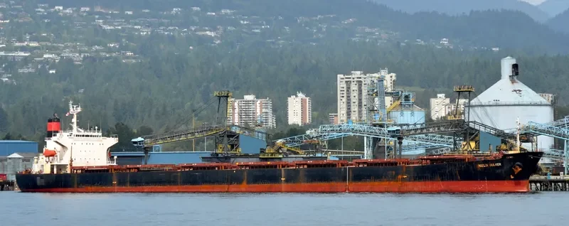 CAPTAIN STEFANOS M Bulk Carrier IMO 9170298 photo 3