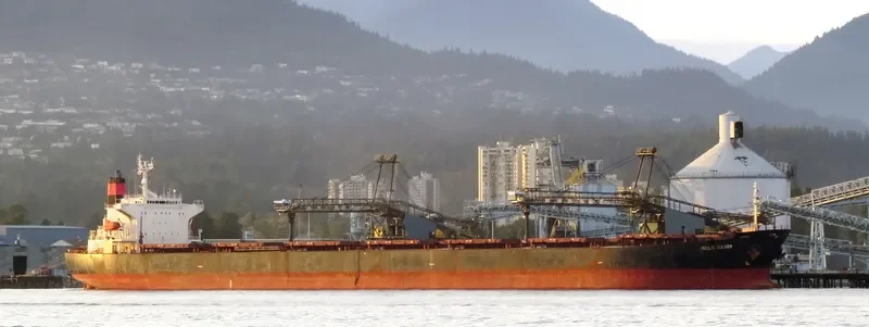 CAPTAIN STEFANOS M Bulk Carrier IMO 9170298 photo 4